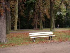 B-Herbststimmung 076.jpg